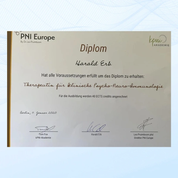 Fokus auf fasziales System – Verbindungen zwischen Gewebe, Nerven und Gefäßen